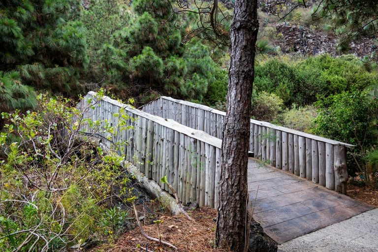 Visite du nord de la Grande Canarie et du jardin botanique