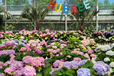 From Seogwipo: Jeju East UNESCO Highlights Join in Tour