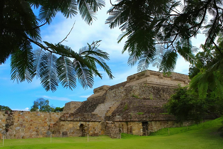 Oaxaca:full‑day tour Monte Alban, mezcal ancestral, alebrijes y barro negro