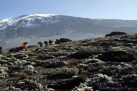 6 DAYS UMBWE ROUTE MOUNT KILIMANJARO TREKKING