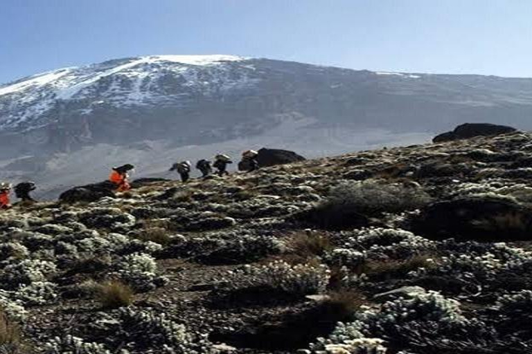 6 DAYS UMBWE ROUTE MOUNT KILIMANJARO TREKKING