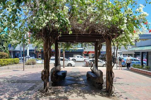 Fidżi: Odkryj Nadi dzięki wycieczce do gorących źródeł Sabeto i basenu błotnegoOdbiór z Fiji Marriott/Queens Wharf Lautoka/Tanoa Waterfront