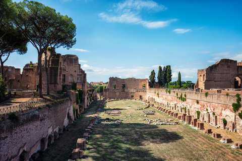 Rome: Colosseum Small-Group Guided Tour