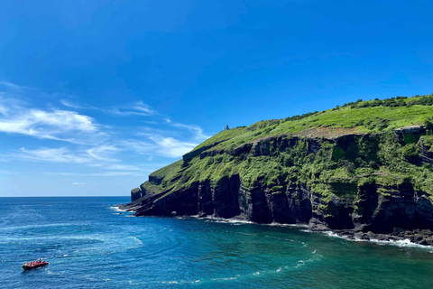 Jeju: Udo Island, Seongsan & Tangerine Picking Tour