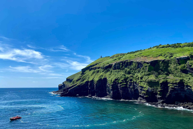 Jeju: Udo Island, Seongsan & Tangerine Picking Tour