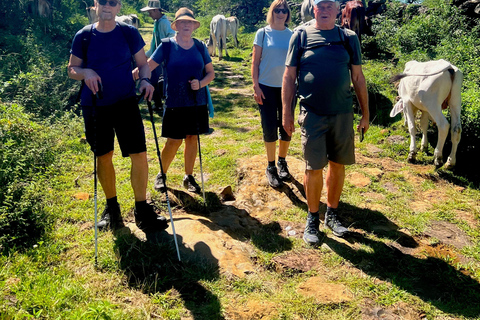 Camino Real : Randonnée Barichara-Guane + Musée Paléontologique