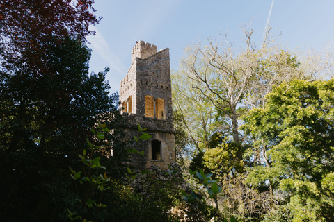 Sintra: Biglietto d'ingresso per Quinta da Regaleira e tour guidatoTour in portoghese