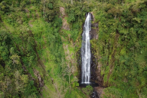 Materuni Waterfalls, Coffee, and Kikuletwa Hot springs Tour