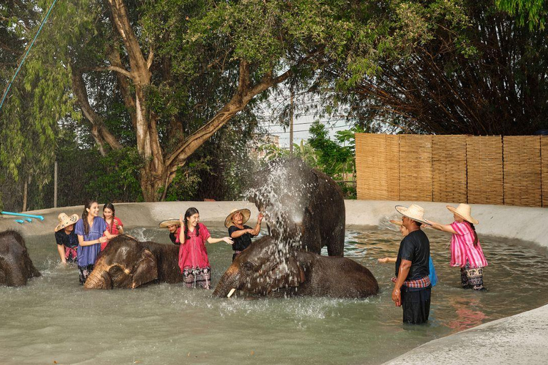 Bangkok Elephant Park: Meio dia de cuidados com elefantesHD Elephant Care com serviço de busca no hotel e traslado de ida e volta (particular)