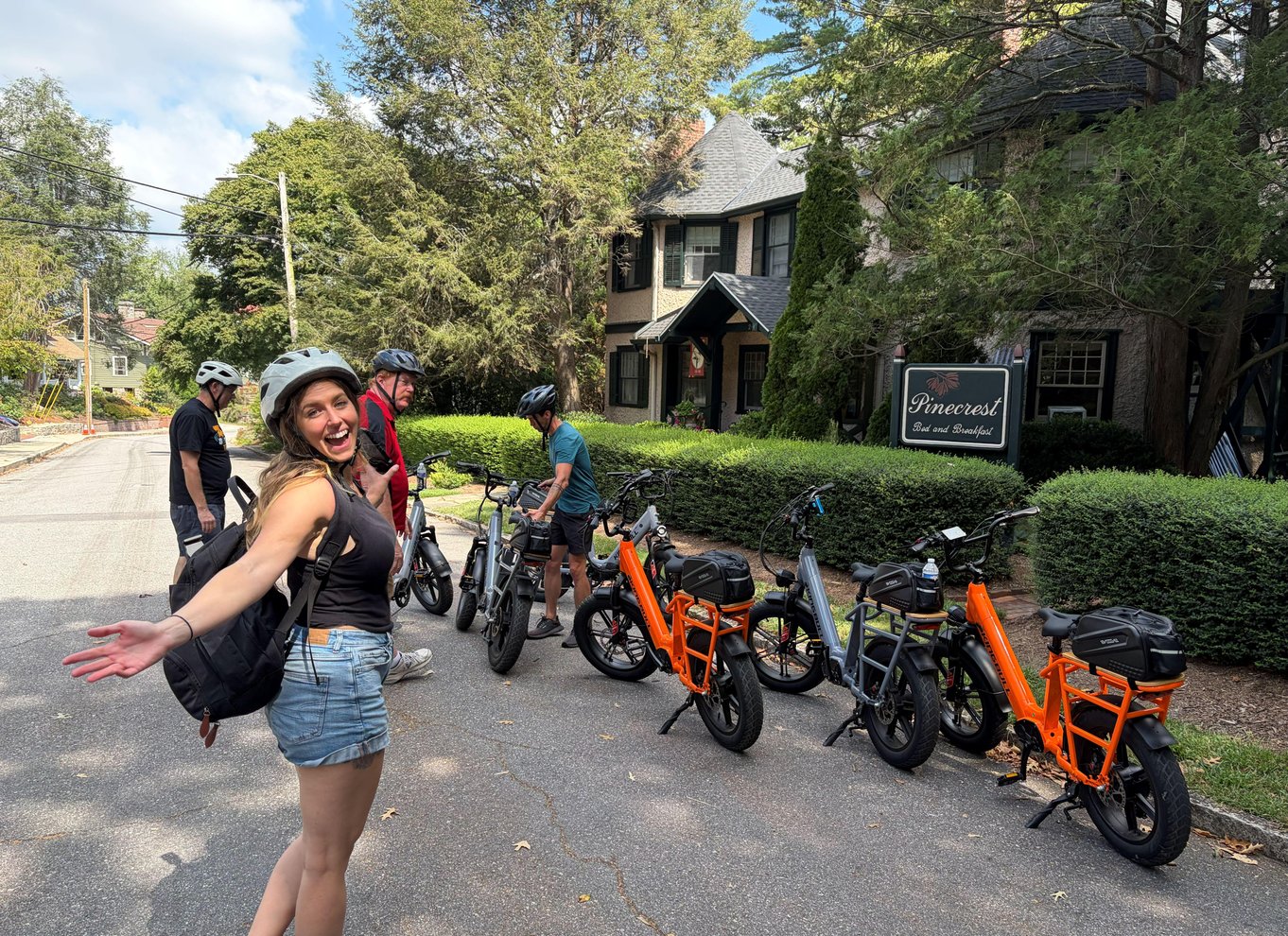 Asheville: Guidet tur på elcykel