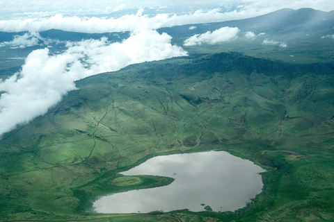 Safari de 3 días por Tanzania