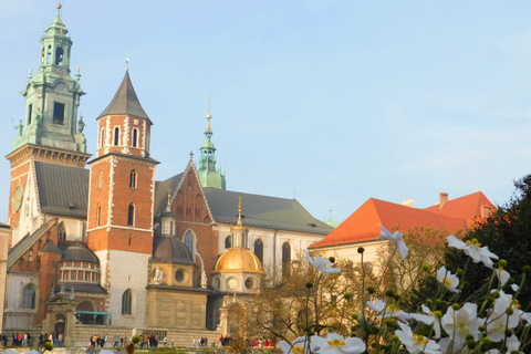 Centro storico di Cracovia e quartiere ebraico in una passeggiata guidata
