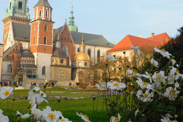 Centro storico di Cracovia e quartiere ebraico in una passeggiata guidata