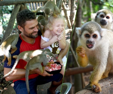 Monkey jungle tour + Transportation from cruise/hotel