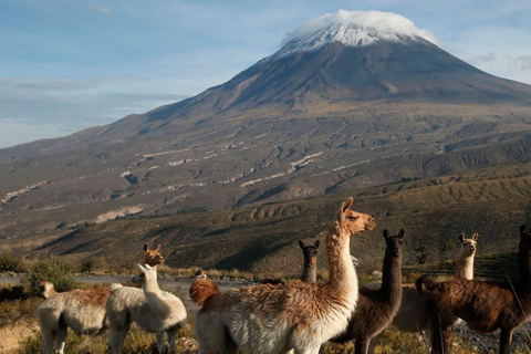 Arequipa: Caminhada de 2 dias até o vulcão MistiArequipa: Caminhada de dois dias até o vulcão Misti