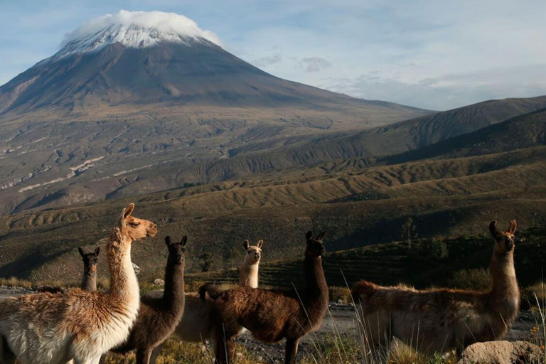 Half-day excursion to the Misti Volcano