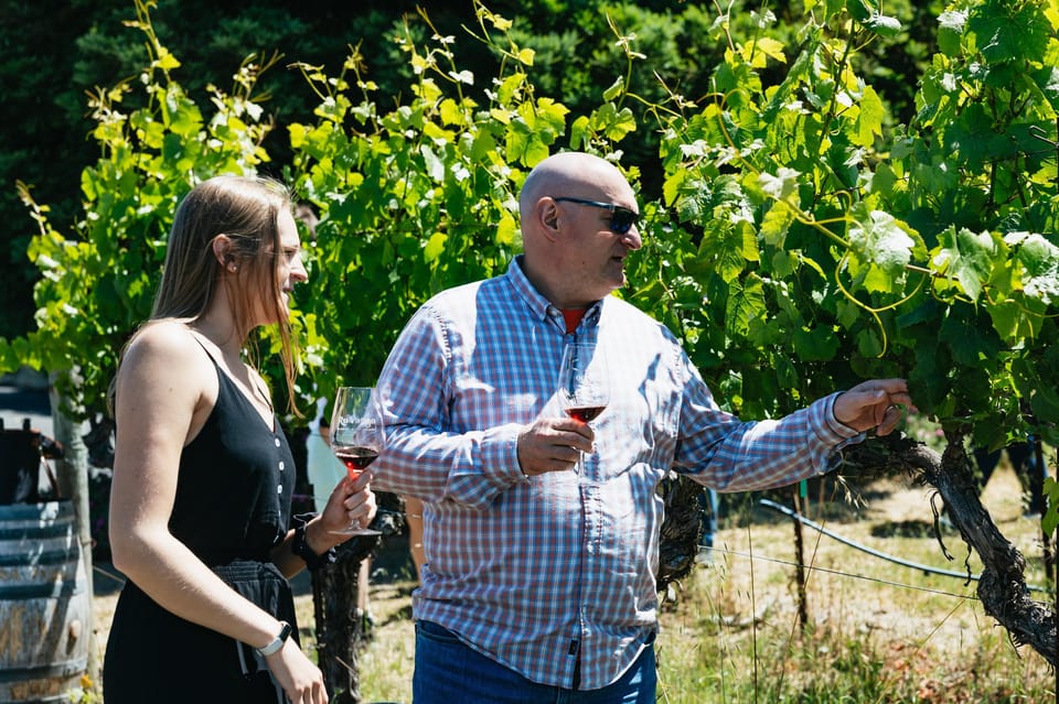 San Francisco: Napa and Sonoma Valley Wine Tour image 3