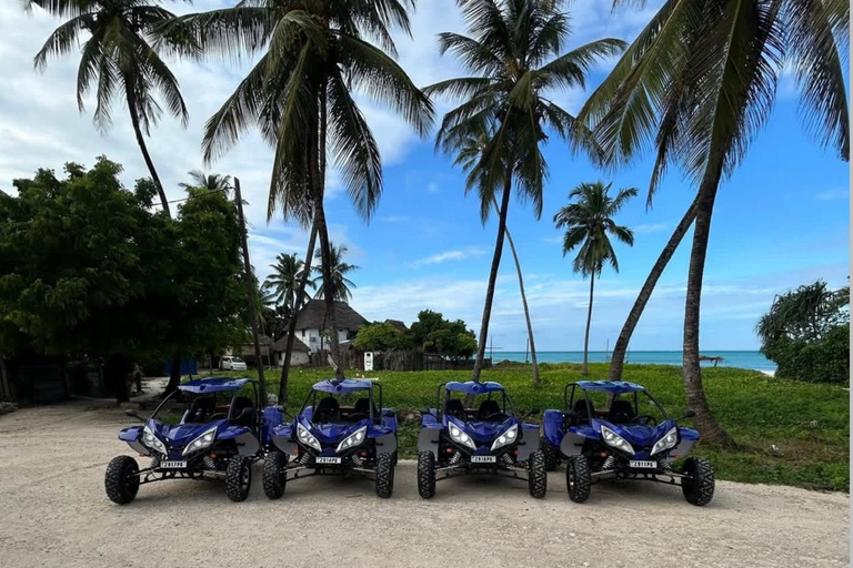 Zanzibar: Jambiani Buggy Adventure with Hotel Pickup