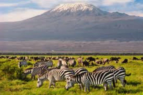 Nairobi: 4-Day Amboseli National Park Safari with Flights