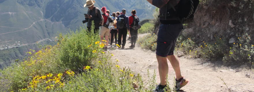Arequipa : trek de 2 jours dans le canyon de Colca