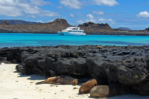 Quito and the Galapagos Islands Expedition (7D/6N) Double Accommodation (Standard Twin)