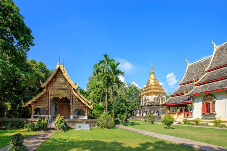 Chiang Mai : Location d&#039;une voiture privée ou d&#039;un minibus avec chauffeurLocation de 4 heures