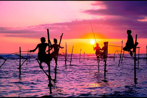 Colombo / Negombo - Yala Day Tour & Sightseeing Galle Fort