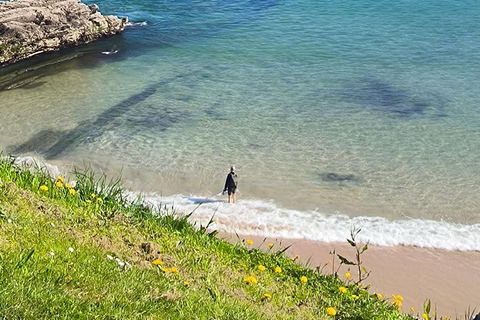 Saint-Sébastien : visite privée au départ de Pampelune