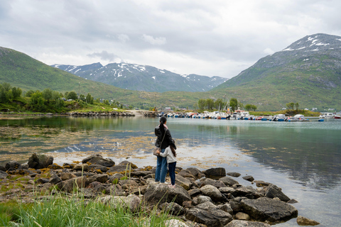 Tromsø Slow Fjords Tour - Shore Ex