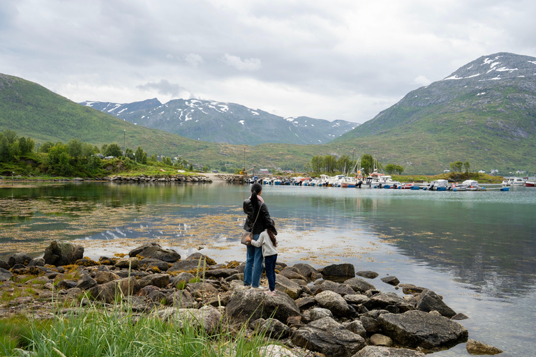 Tromsø Slow Fjords Tour - Shore Ex