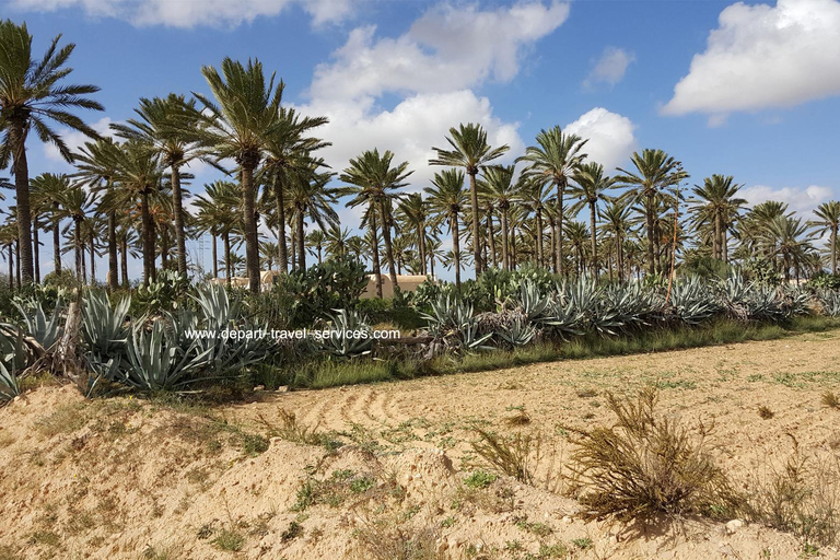 Djerba 1/2 day tour : Djerba must-see gems with tour guide