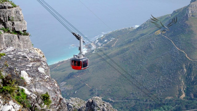 From CapeTown:TableMountain Tour&Cape of Good Hope Full Day