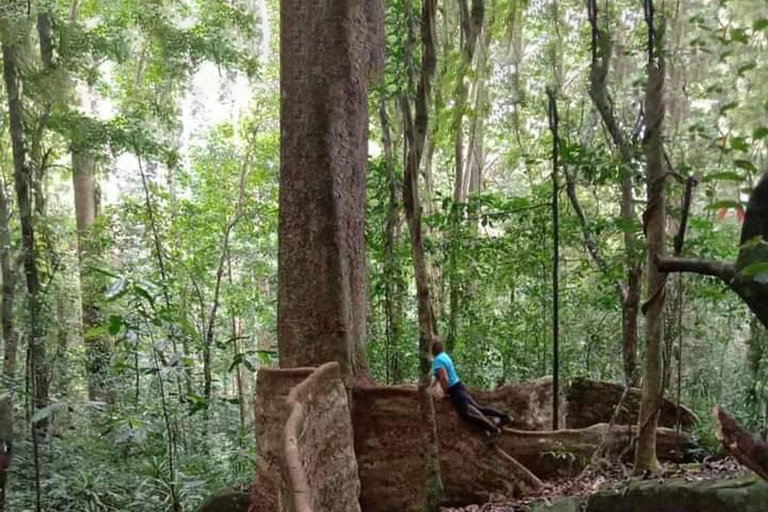 Hike in the Mazumbai forest