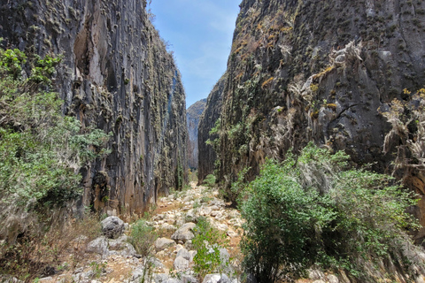 Oaxaca: Apoala Waterfalls Camping Adventure