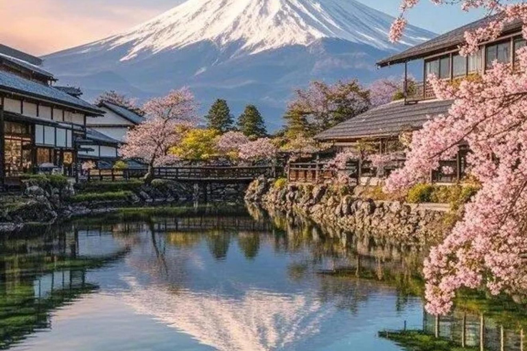 Tokyo:Mt. Fuji 5th Station & Onsen Day Trip | Summer Special 08:30 | Meet at Shinjuku West Exit, SMBC