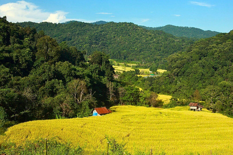 Chiang Mai: Park Narodowy Doi Inthanon i trekking Pha Dok Siew