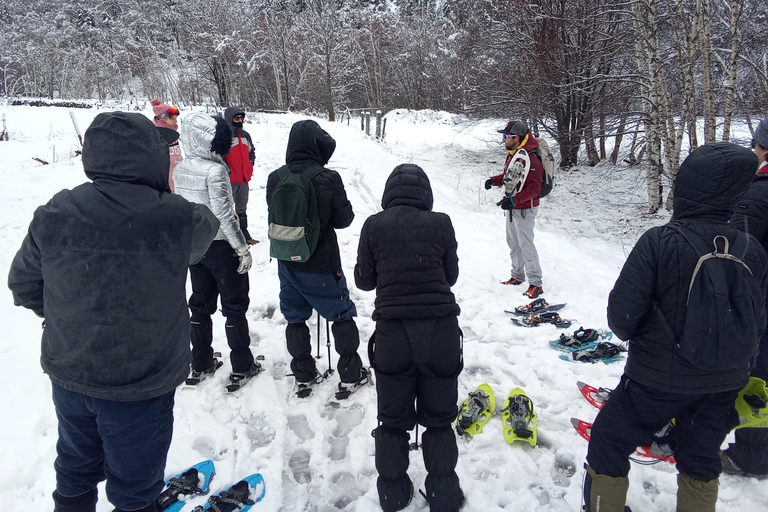 Pyrenees: Family Snowshoe Tour and Igloo Building
