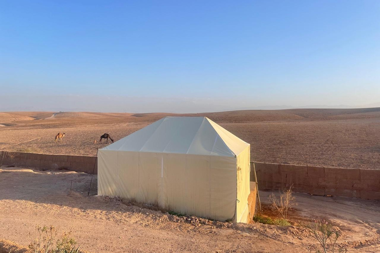 Marrakech: giornata al deserto di Agafay con pranzo e trasferimentoMarrakech: giornata al mare nel deserto di Agafay con pranzo e trasferimento