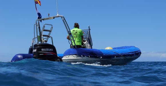 Gran Canaria: Small-Group Boat Diving from Puerto de Mogán