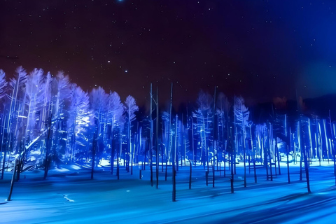 Sapporo: Blue Pond & Ningle Terrace Illumination, Biei Tour 10:40 – Departure：Sapporo Station North Exit Bus Parking Lot