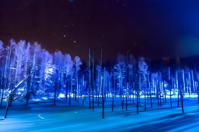 Sapporo: Blue Pond & Ningle Terrace Illumination, Biei Tour 10:40 – Departure：Sapporo Station North Exit Bus Parking Lot