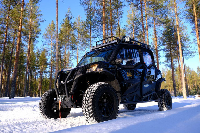 Helsinki Private VIP Tour Reindeer Farm and Buggy Adventure