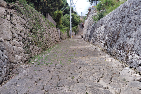 Naha: Shurijo Castle & Tamaudun Guided Walking Tour Morning visit