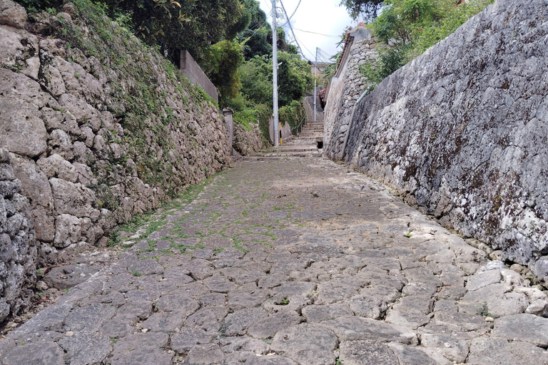 Naha: Shurijo Castle & Tamaudun Guided Walking Tour Morning visit