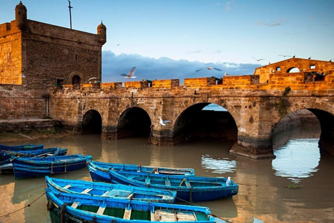 Essaouira Day Trip from Marrakech: Medina & Atlantic Coast Private Essaouira Day Trip