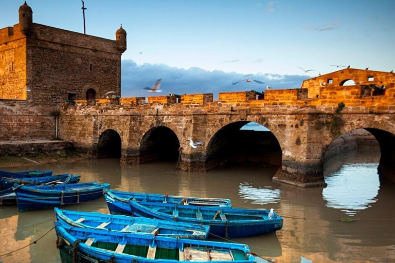 Essaouira Day Trip from Marrakech: Medina & Atlantic Coast Private Essaouira Day Trip