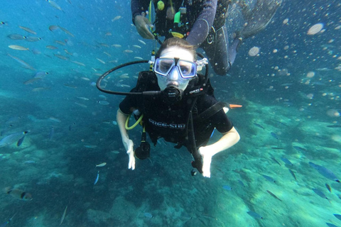 Alanya: Turtle Island Scuba Diving (2 Dives) Private group option