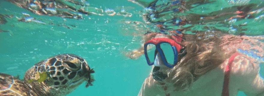 Mirissa : plongée avec tortues et aventure écologique avec un guide de la région