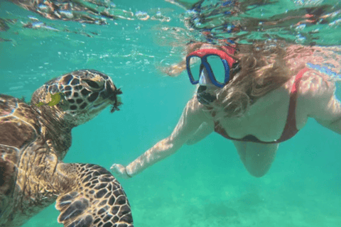 Mirissa: Whale Watching, Turtle Snorkeling, & Kayaking Tour