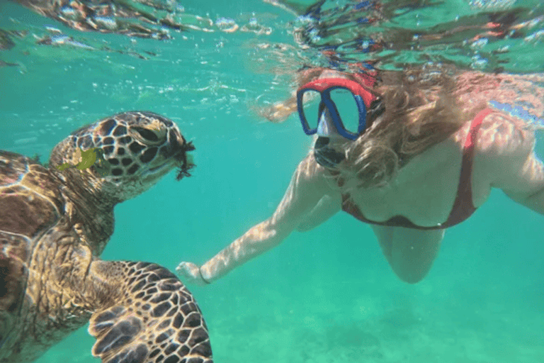 Mirissa: Whale Watching, Turtle Snorkeling, & Kayaking Tour